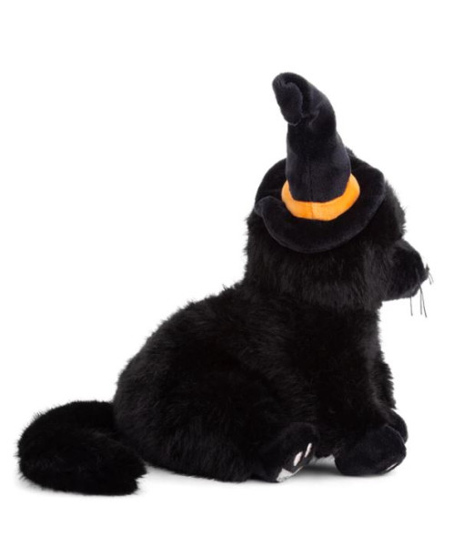 Bukowski - Bambou le chat d'Halloween