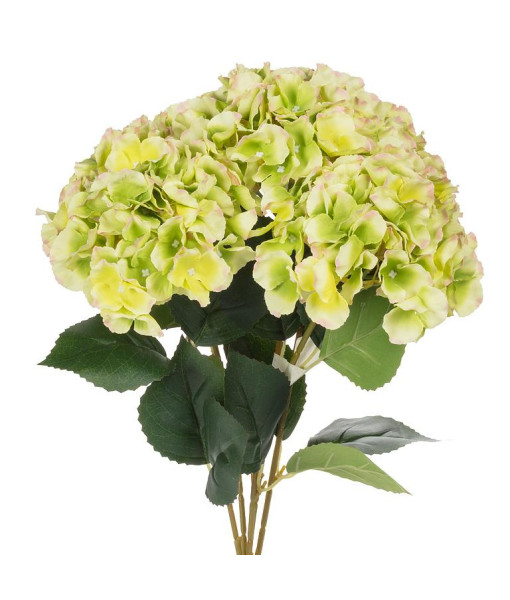 Bouquet d'hydrangées vert pâle