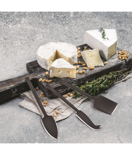 Ensemble Couteaux à Fromage S/3