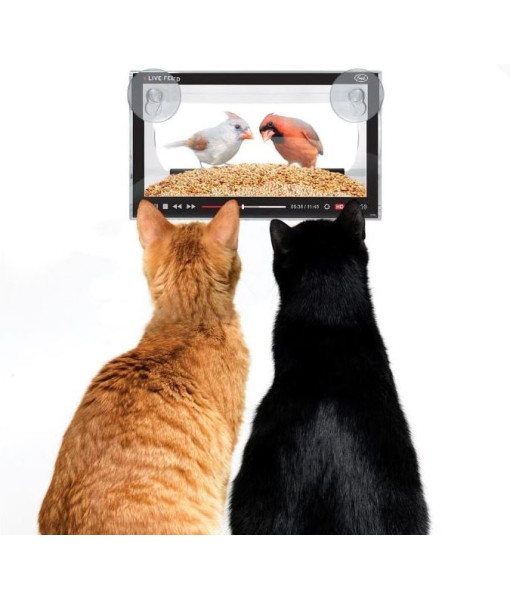 Mangeoire pour oiseaux ''Live Feed''