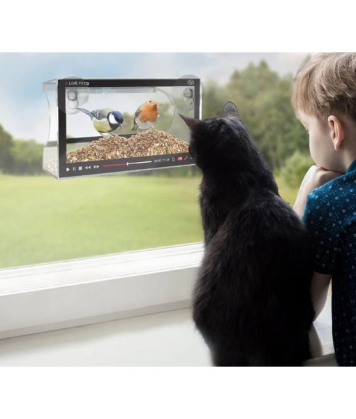 Mangeoire pour oiseaux ''Live Feed''