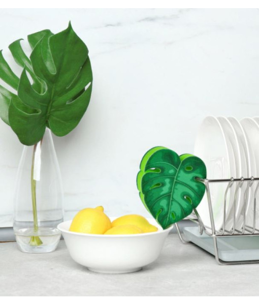 Éponge ''plante de maison''