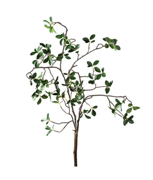 Branche Grove Mini