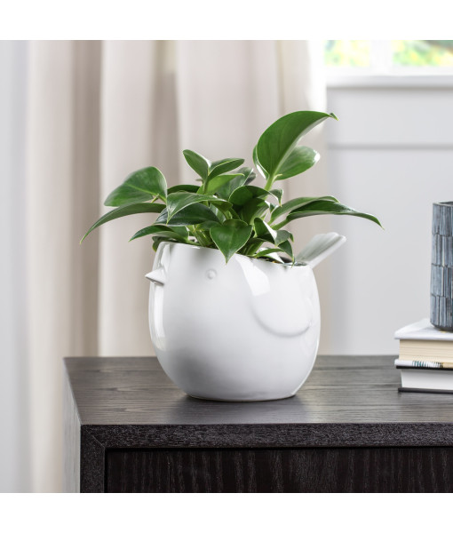 Jardinière en céramique blanche oiseau