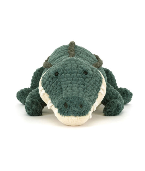 Allexi l'alligator
