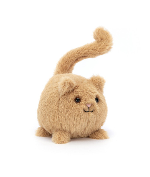 ''Ginger kitten Caboodle''