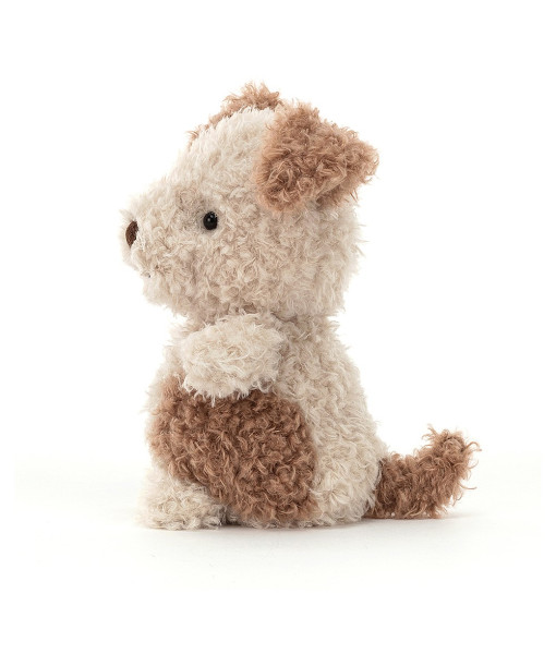 Petit chiot