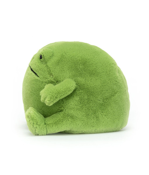 Ricky Rain la grenouille