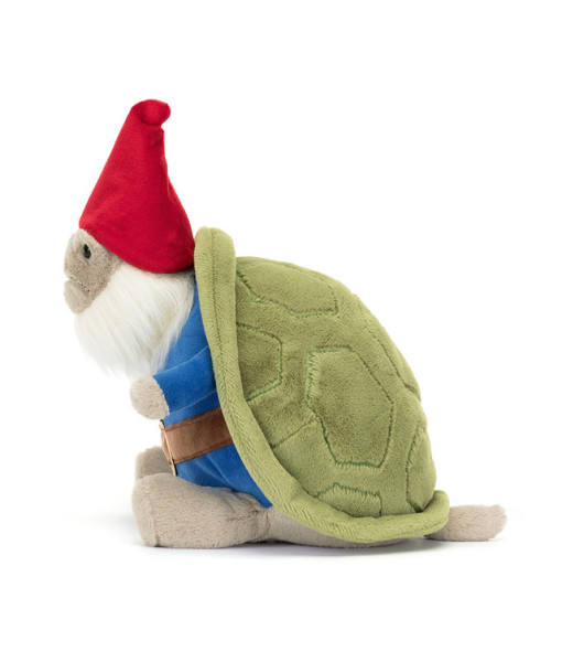 Timmy la tortue en gnome