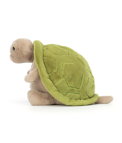 Timmy la Tortue